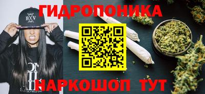 гидропоника Кулебаки