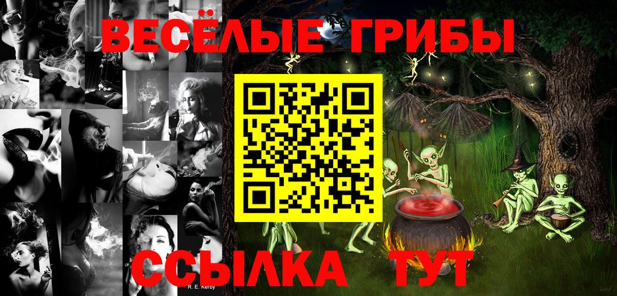 Галлюциногенные грибы MAGIC MUSHROOMS  Вход с VPN  Зеленогорск 