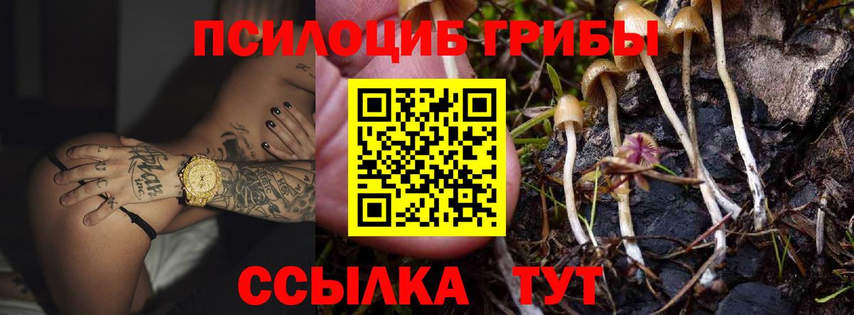 Галлюциногенные грибы Cubensis Зеленогорск
