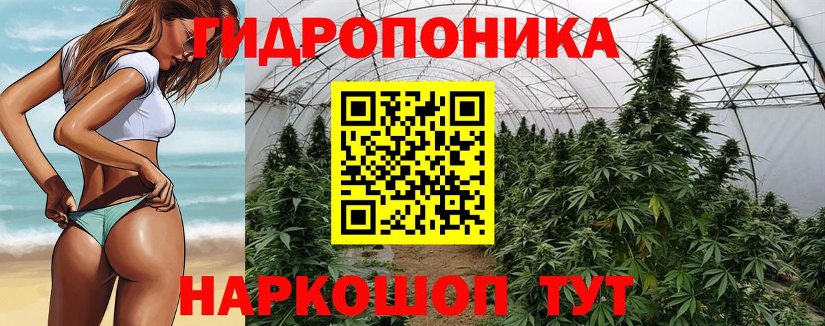 Канабис ГИДРОПОН Зеленогорск
